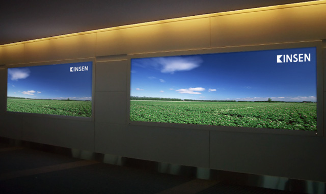 羽田空港